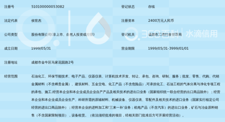成都華西化工科技股份的計算機信息咨詢服務發展與實踐