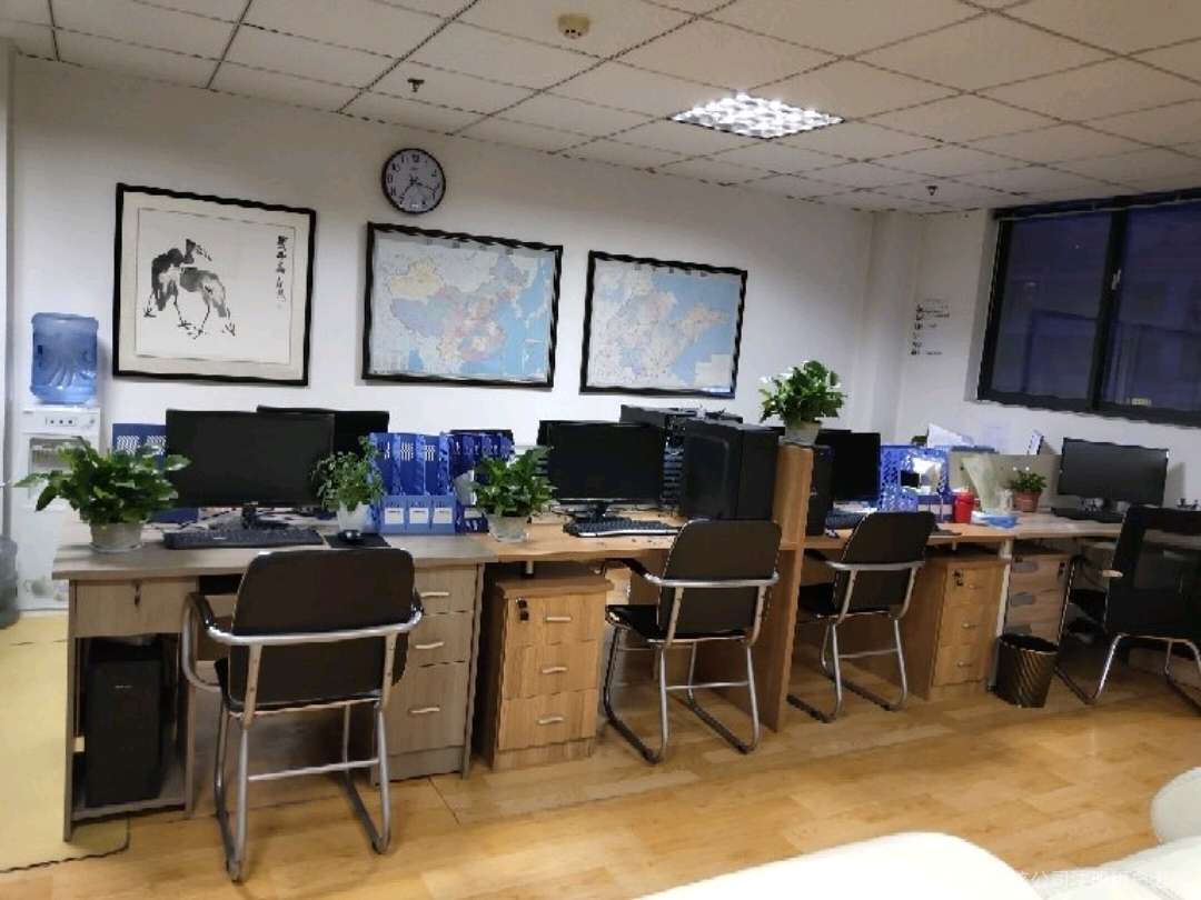 數字化時代的信息咨詢 青島盛世眾聯的服務實踐